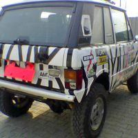 zebra przed